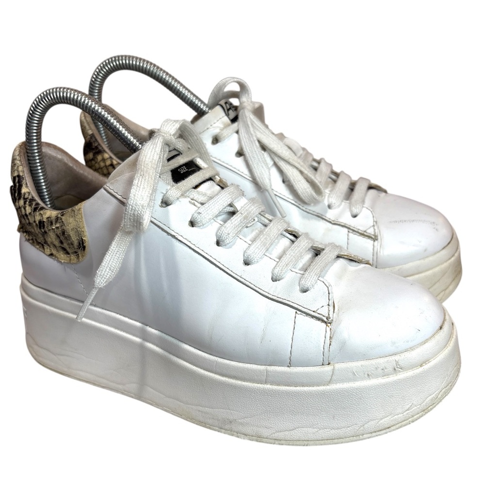 ASH Moby Platform Sneaker Snakeprint